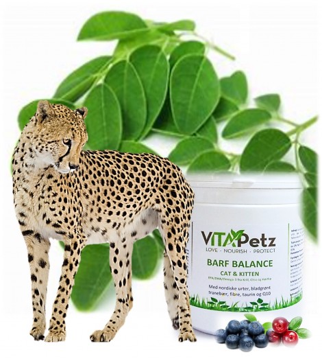 BARF BALANCE - Cat & Kitten 150 Gram