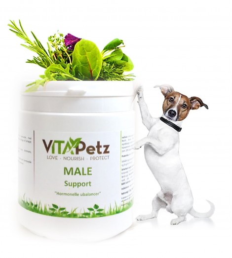 Male Support (hormonelle ubalancer) 125 Gram