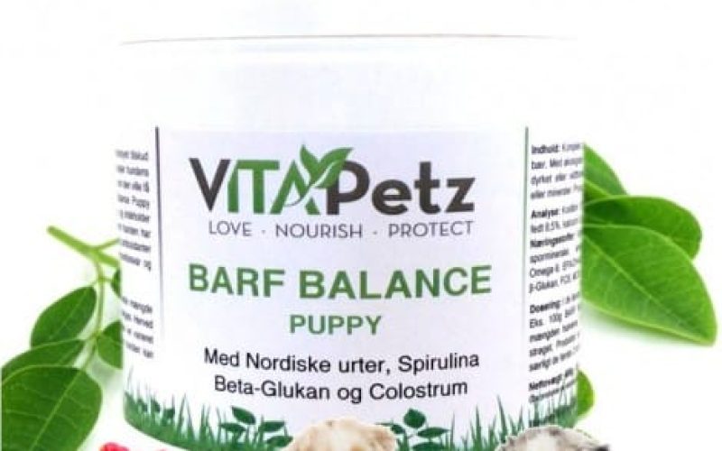 1. barf-balance-puppy