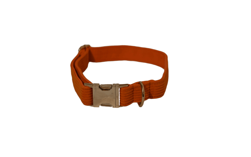 12. Blød hundehalsbånd - Orange