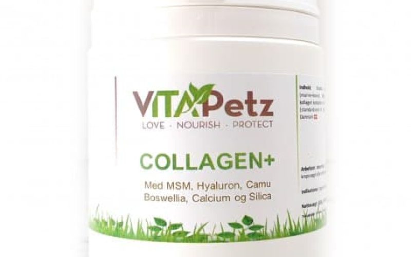 7. collagen-til-hund