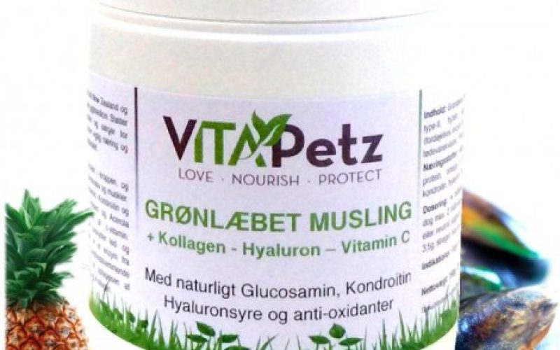 9. grønlæbet-musling-til-hunde